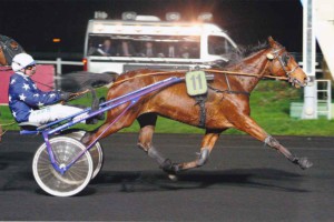 BOTANIE-PRIX-DE-MARTIGUES